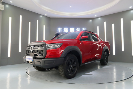 襄阳二手长城炮 2020款 越野版 2.0T 手自一体 四驱 小双 高阶版 汽油