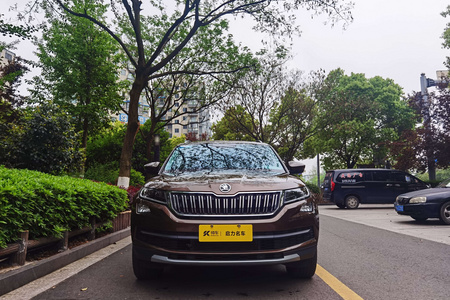 丽水二手斯柯达柯迪亚克 2019款 TSI330 两驱 豪华优享版 7座